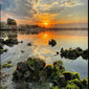 xi_dileone1